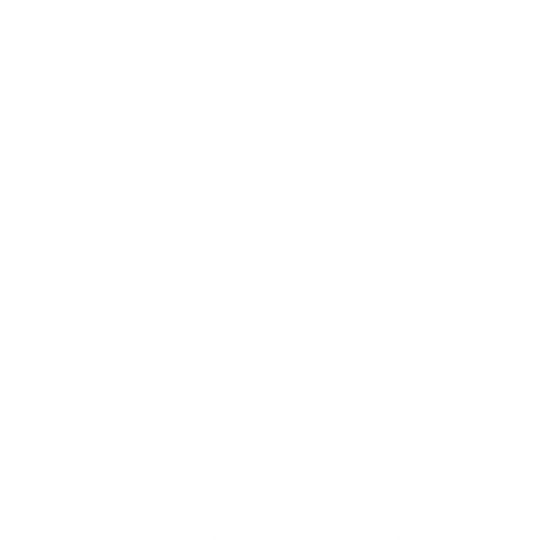 Libertadores