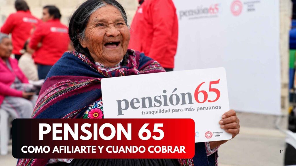 Pensión 65 consultar pago 2026
